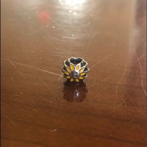 Pandora Charm